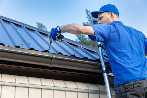 Best Roof Moss and Algae Removal  in Robins, IA